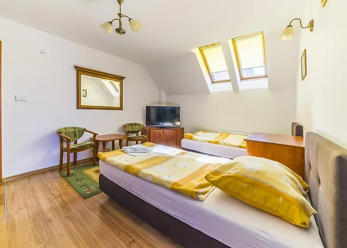 Aleksander Nocleg ze śniadaniem